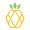 Logo for Pineapple | Virtual Assistant Hub