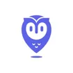 Logo for Placer.ai