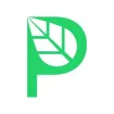 Logo for Prepory