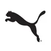 Logo for PUMA Group