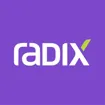Logo for Radix Engineering & Software