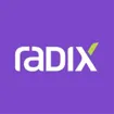 Logo for Radix Engineering & Software