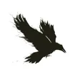 Logo for RavenTek 