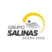 Salinas Inc.