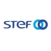 Logo for STEF