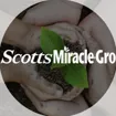 Logo for The Scotts Miracle-Gro Company