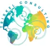 Logo for Triskel Consulting