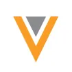 Veeva Systems company logo