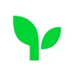 Logo for マネーツリー・Moneytree